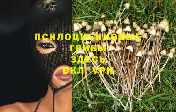 кокаин колумбия Алексин
