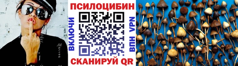 купить наркотик  даркнет формула  Галлюциногенные грибы MAGIC MUSHROOMS  Венёв 